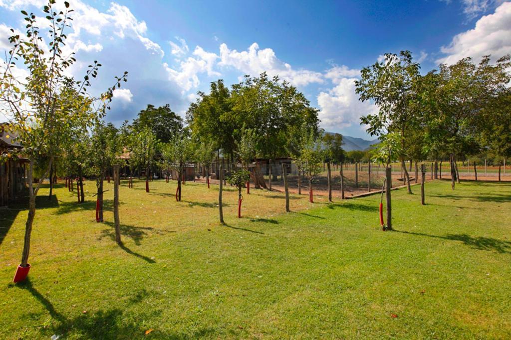 Azienda Agrituristica Pericle Montella Zewnętrze zdjęcie