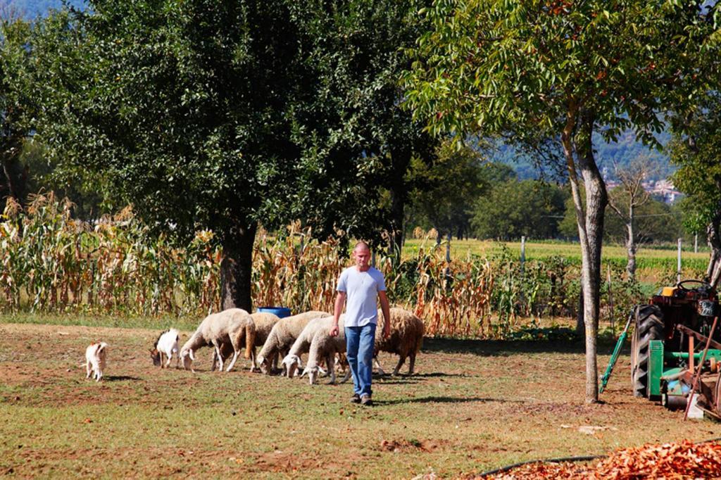 Azienda Agrituristica Pericle Montella Zewnętrze zdjęcie